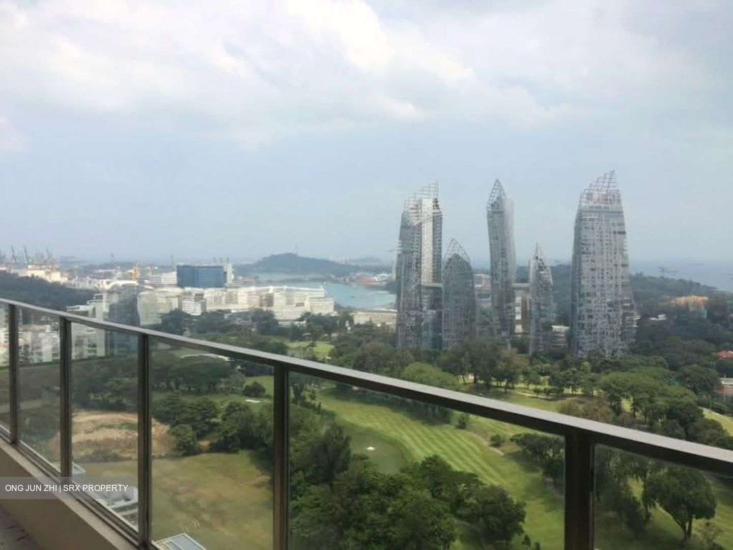 Skyline Residences (D4), Condominium #554529021